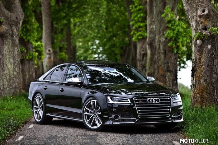 Audi S8 plus –  