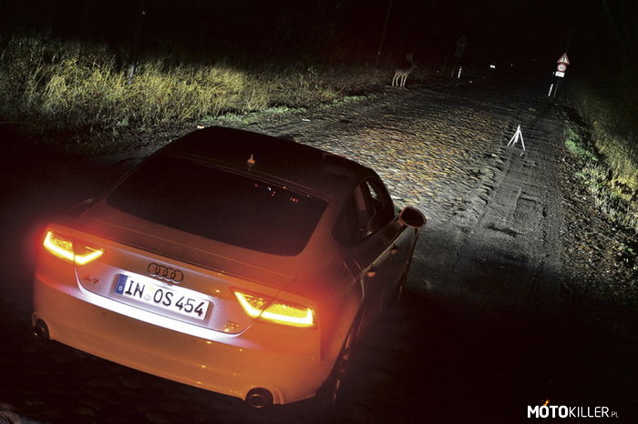Audi – Noc, muzyka, jazda samochodem jeśli nie masz pomysłu żeby rozwiązać swoje problemy 