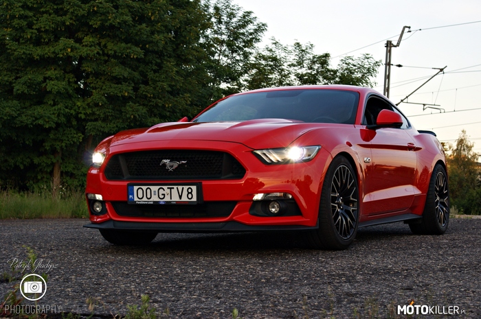 Ford Mustang RedRace –  