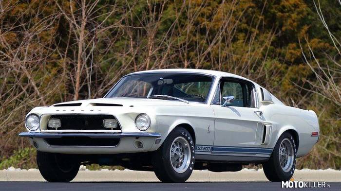Shelby GT500 Fastback –  