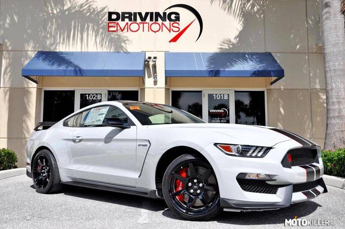 Shelby GT350 R –  