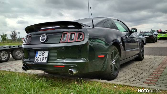 Mustang – Moto Show BB 
