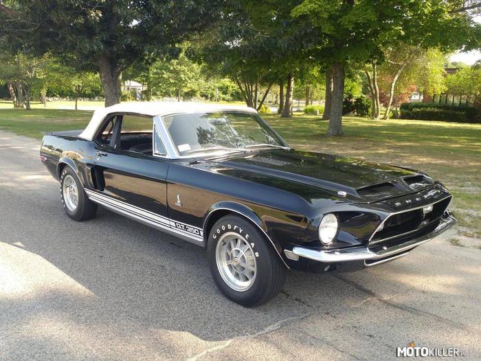 Shelby GT350 –  