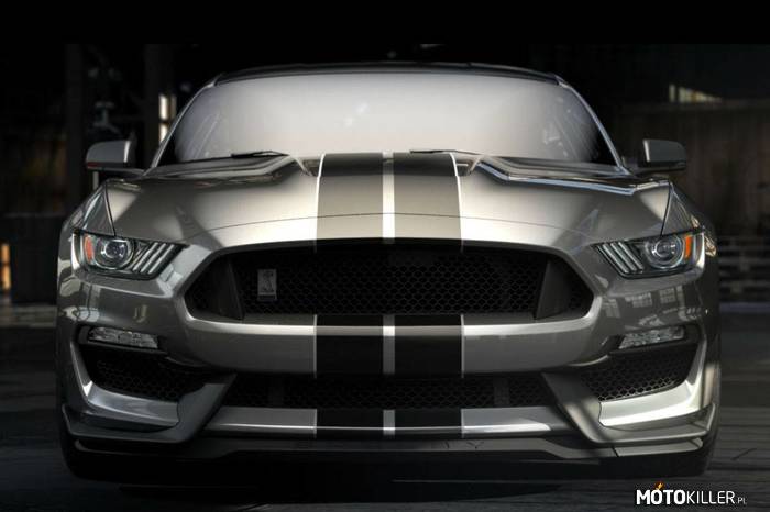 Ford Shelby Mustang GT350R –  