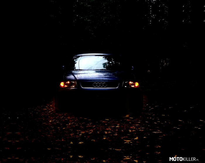 Jesienny klimat – Moja Audi A3 8L 