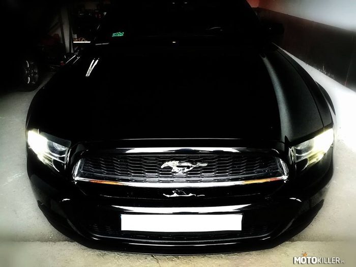 Marzenie spełnione! – 2014 Ford Mustang 
