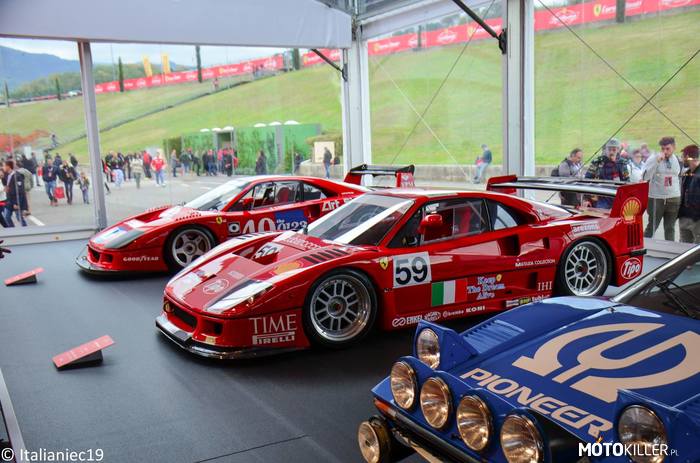 F40 GTE – I F40 LM. 