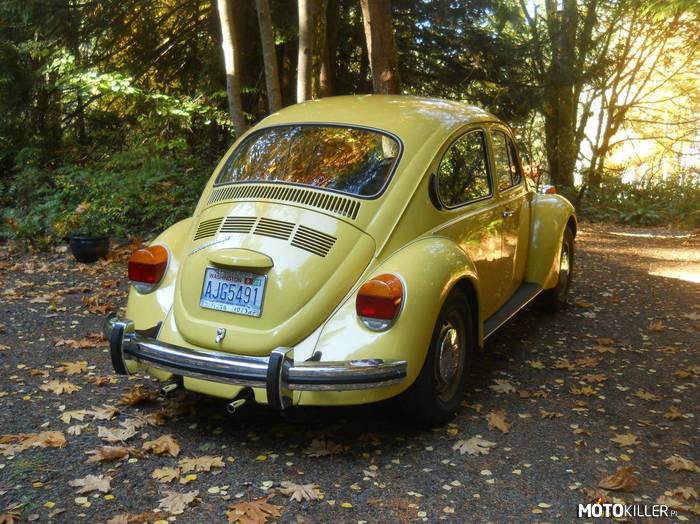 Volkswagen Super Beetle –  