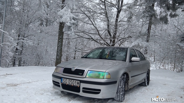 Skoda Octavia VRS – Zimowy wypad do Wisły. 