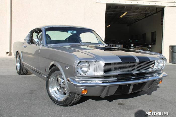Ford Mustang GT Fastback –  