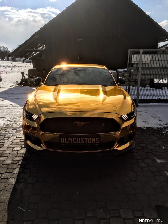 Golden Cars – Moj samochodzik ;) 