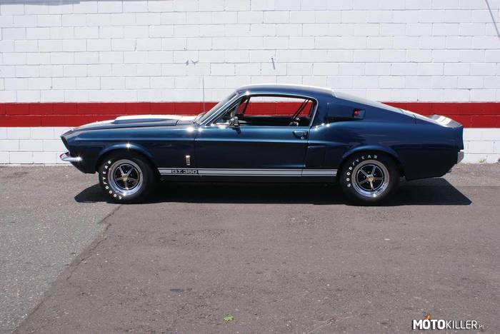 Shelby GT350 Fastback –  