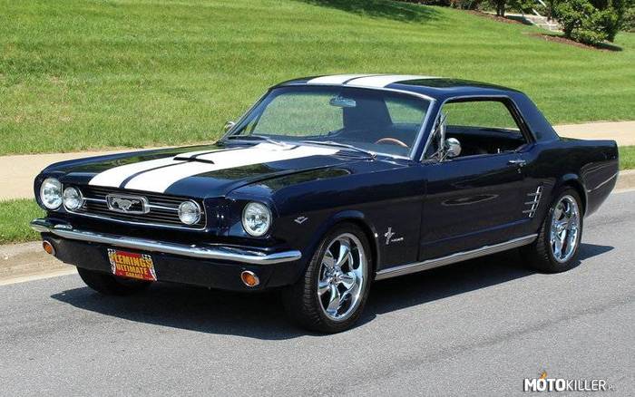 Ford Mustang GT 350 –  