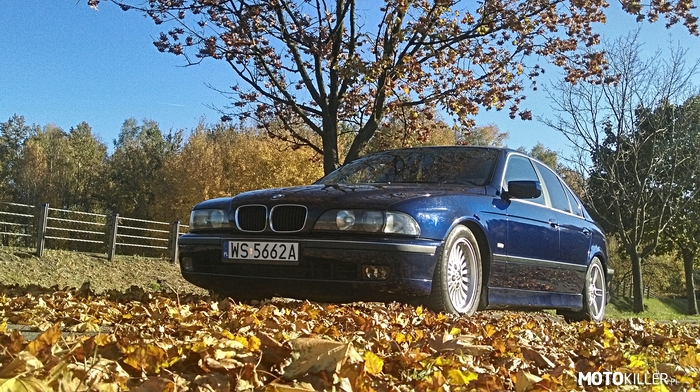 BMW E39 w jesiennym otoczeniu –  