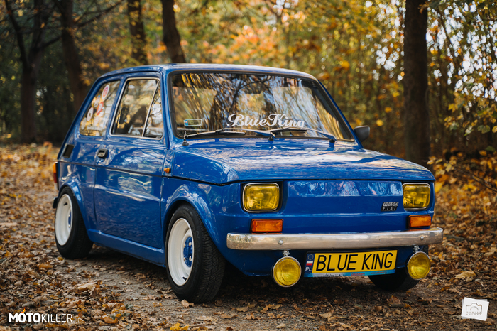 BlueKing Fiat 126p – https://www.facebook.com/redprince125p/ 