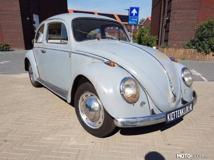 Volkswagen Beetle –  