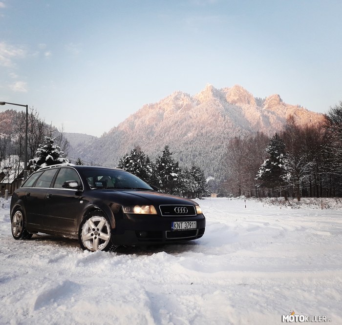 Audi A4 Quattro – Quattro w swoim naturalnym środowisku. 