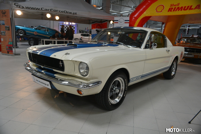 Ford Mustang G.T.350 –  