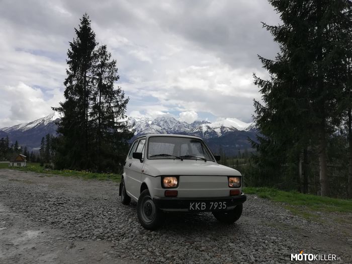 Fiat 126p Biała Perła Nowej Huty – Zdjęcie z małej wyprawy w rodzinne strony
Kajtek to model przejściowy (krajowy) z 1988 roku. 