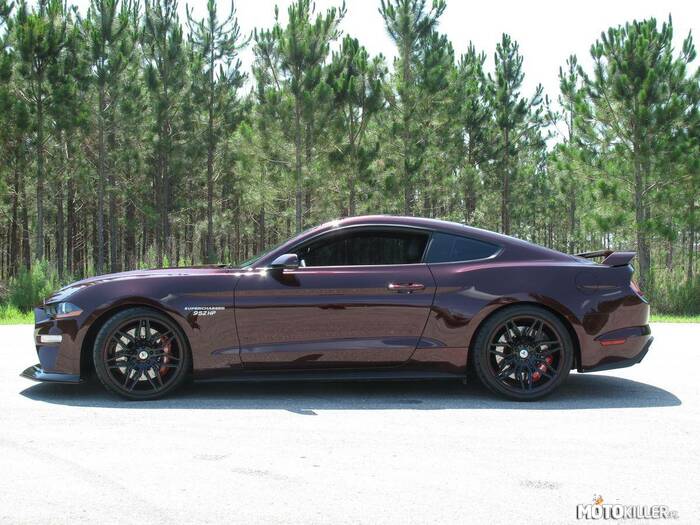 Ford Mustang GT –  