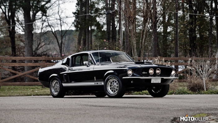 1967 Ford Mustang Shelby GT350 –  