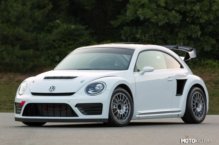 Volkswagen Beetle GRC –  