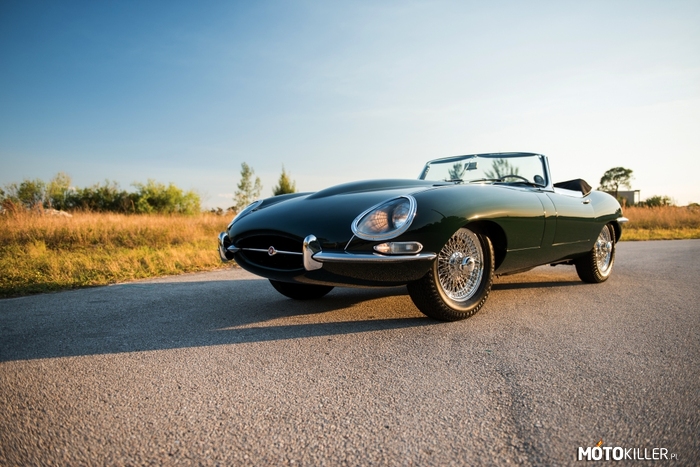 Jaguar E-Type – Samochód sportowy produkowany w latach 1961-1975 przez brytyjską markę Jaguar. Dostępny był jako 2-drzwiowe coupe lub 2-drzwiowy roadster. Na desce rozdzielczej wyłożonej polakierowaną blachą aluminiową symetrycznie rozmieszczono zestaw hebelkowych przełączników i wskaźników do roku 1967. Koło sportowej kierownicy było wykonane z drewna do roku 1970, później zastosowano kierownicę bez drewna. Napędzany jest skonstruowanym w 1948 roku silnikiem typu XK, wykorzystywanym we wcześniejszych modelach firmy, np. XK120. Silnik ten był produkowany przez 44 lata z niewielkimi tylko zmianami konstrukcyjnymi. Sześciocylindrowa, rzędowa jednostka napędowa miała 3,4 l, 3,8 l lub 4,2 l pojemności, dwa wałki rozrządu umieszczone w aluminiowej głowicy i odlewany z żeliwa blok cylindrów. Najsilniejszą wersją samochodu była napędzana 5,4-litrowym silnikiem V12 wytwarzającym moc maksymalną 276 KM, przez co samochód osiągał prędkość maksymalną 235 km/h, a  przyspieszenie do 100 km/h trwało 6,4 sekundy. 