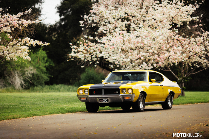 Buick GSX – Gran Sport to samochód sportowy typu muscle car klasy średniej produkowany przez amerykańską markę Buick w latach 1965–1971. W 1965 roku Buick zaprezentował pierwszego w swojej historii sportowego muscle cara. Samochód powstał na bazie modelu Skylark, dzieląc z nim platformę, wybrane rozwiązania techniczne i elementy wystroju wnętrza. Karoseria zyskała głęboko zmodyfikowaną, sportową sylwetkę. Ofertę modelu Gran Sport, zwanego też pod skróconą nazwą GS tworzyło wiele wersji specjalnych, na czele z topową GSX. Produkcja modelu trwała do 1971 roku. W zawieszeniu zastosowano niezależne wahacze z przodu i sprężyny spiralne z tyłu. Drążki reakcyjne z przodu i z tyłu poprawiły jazdę po łuku, a 11-calowe tarcze hamulcowe z przodu i użebrowane bębny hamulcowe z tyłu poprawiły hamowanie. W modelu podstawowym GSX standardem był 7,5-litrowy silnik. Większość nabywców wybierała wersję Stage 1 z 4-przelotowym gaźnikiem Quadrajet i krzywkami o wysokim wzniosie, większymi zaworami i stopniem sprężania 10,5:1, osiągającą moc 399 KM. 