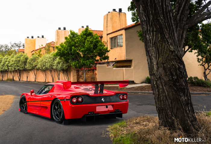 Ferrari F50 GT – F50 to supersamochód klasy średniej produkowany przez włoską markę Ferrari w latach 1995–1997. Samochód został skonstruowany z okazji 50. lecia istnienia marki zaprezentowany podczas Międzynarodowego Salonu Samochodowego w Genewie w 1995 roku. Samochód przenieść miał na drogi publiczne możliwie dużo rzeczy z F1. Samochód posiadał 4,7-litrowe V12 generujące moc 520 KM i 470 Nm momentu obrotowego. Prędkość maksymalna wynosi 325 km/h, a przyspieszenie 0-100 km/h zajmuje 3,7 sekund. F50 GT to wyścigowa wersja modelu przeznaczona do walki w najsilniejszej wówczas klasy samochodów drogowych GT1. Samochód wyposażono w mocniejszy silnik o mocy 750 KM. Prędkość maksymalna F50 GT wynosi ponad 370 km/h, a przyspieszenie do 100 km/h trwa 2,9 sekund. Samochód został także odchudzony i zmodyfikowany do walki z bolidami takimi jak Mercedes CLK-GTR, McLaren F1 GTR czy Porsche 911 GT1. Powstały tylko 3 egzemplarze F50 GT. 