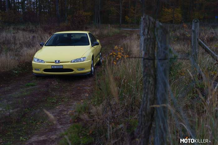Peugeot 406 Coupe –  
