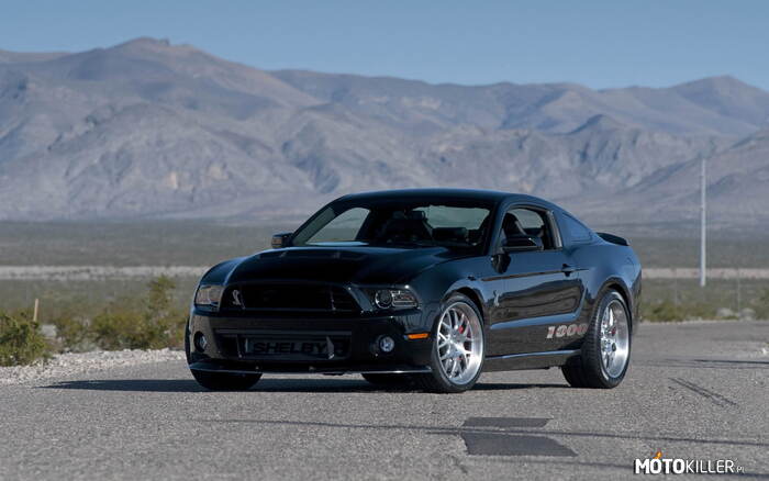 Shelby 1000 S/C –  