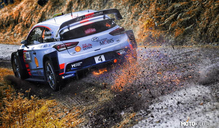 Hyundai i20 WRC –  