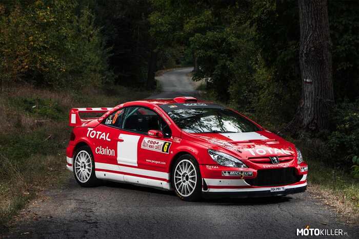 Peugeot 307 WRC –  