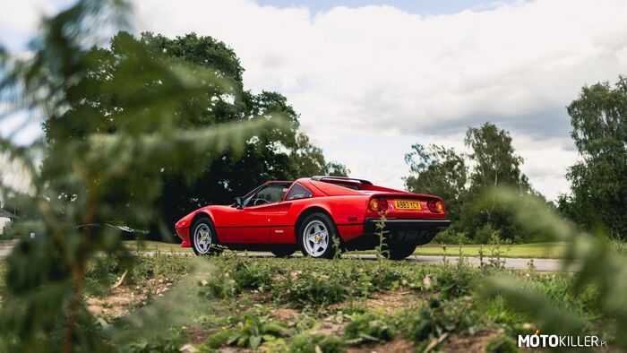 Ferrari 308 GTS –  