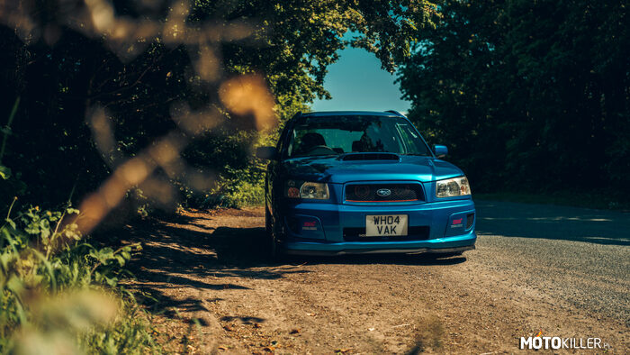 Subaru Forester STI –  